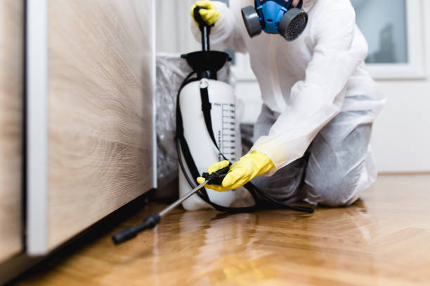 Best Residential Pest Control  in Wamac, IN