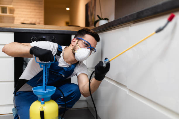 Best Ant Control Services  in Wamac, IN