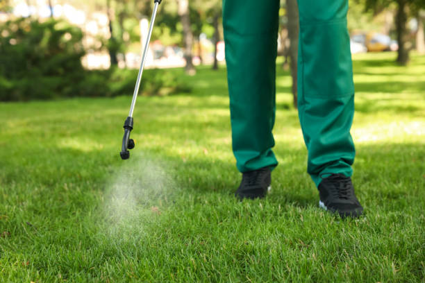 Best Affordable Pest Control Services  in Wamac, IN