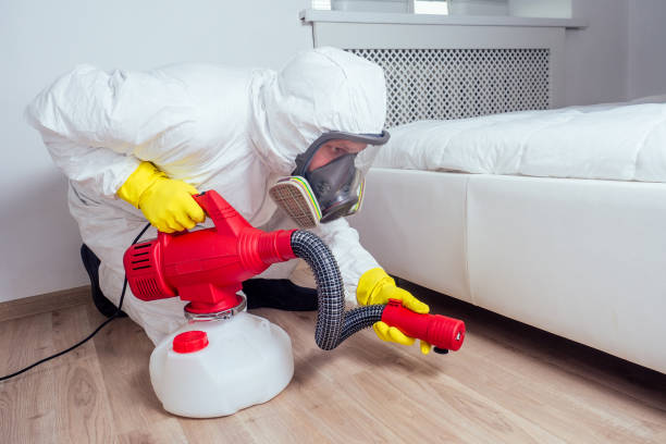 Best Emergency Pest Control  in Wamac, IN