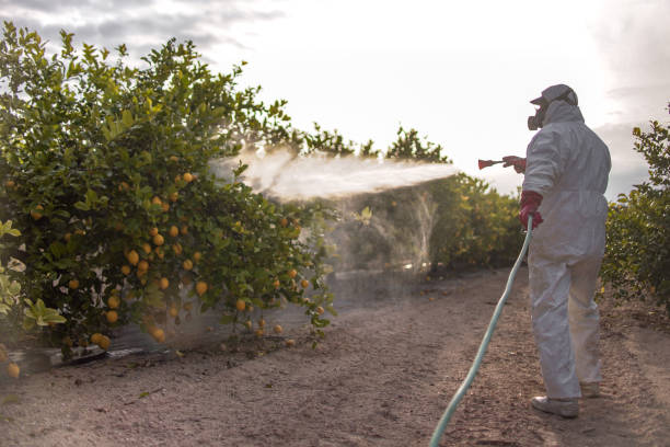 Best Pest Inspection Near Me  in Wamac, IN