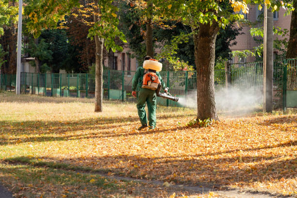 Best Termite Control Services  in Wamac, IN
