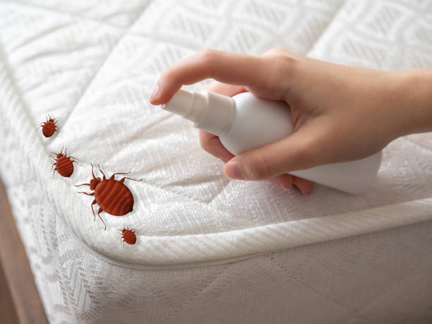 Best Best Pest Control Companies  in Wamac, IN