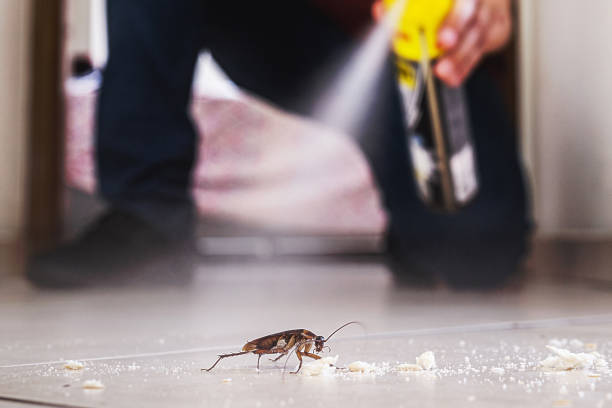 Reliable Winamac, IN Pest Control Solutions