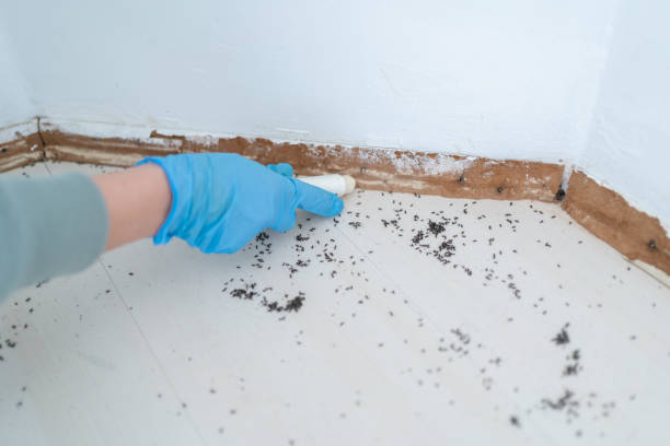 Wasp Removal Services in Winamac, IN